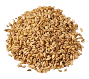 Biota Seed