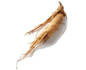 Ginseng